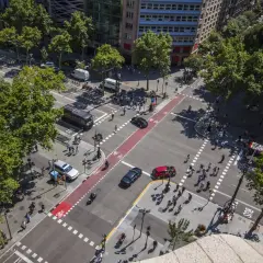 Vista aérea de una intersección urbana concurrida. Coches, autobuses y peatones cruzan el **paso de peatones** bajo árboles frondosos.
