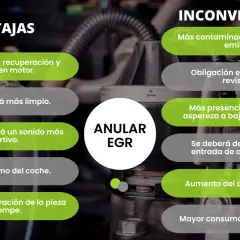 Ventajas y desventajas de anular la EGR: mayor potencia, sonido deportivo, pero más contaminación y consumo.