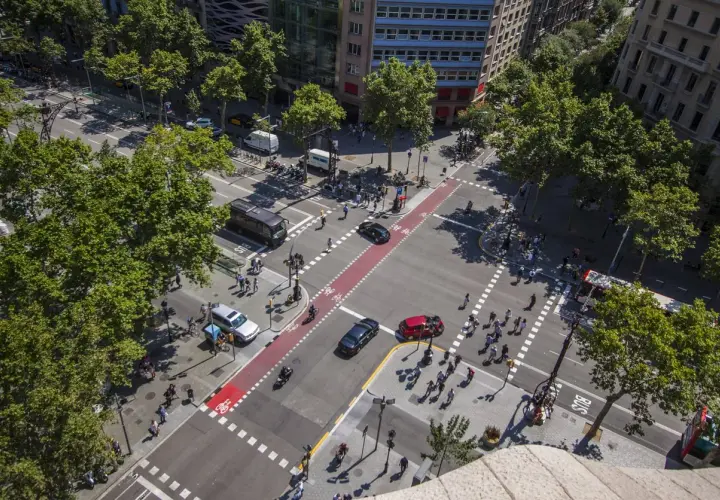 Vista aérea de una intersección urbana concurrida. Coches, autobuses y peatones cruzan el **paso de peatones** bajo árboles frondosos.