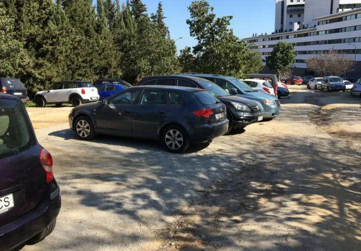 Aparcamiento del zoo de Barcelona con varios coches aparcados bajo árboles frondosos y un edificio moderno al fondo.