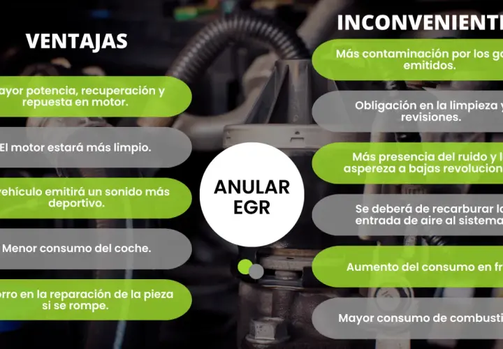 Ventajas y desventajas de anular la EGR: mayor potencia, sonido deportivo, pero más contaminación y consumo.
