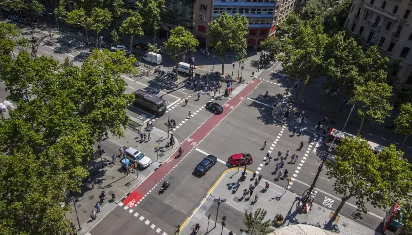 Vista aérea de una intersección urbana concurrida. Coches, autobuses y peatones cruzan el **paso de peatones** bajo árboles frondosos.