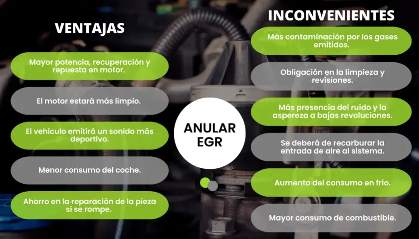 Ventajas y desventajas de anular la EGR: mayor potencia, sonido deportivo, pero más contaminación y consumo.