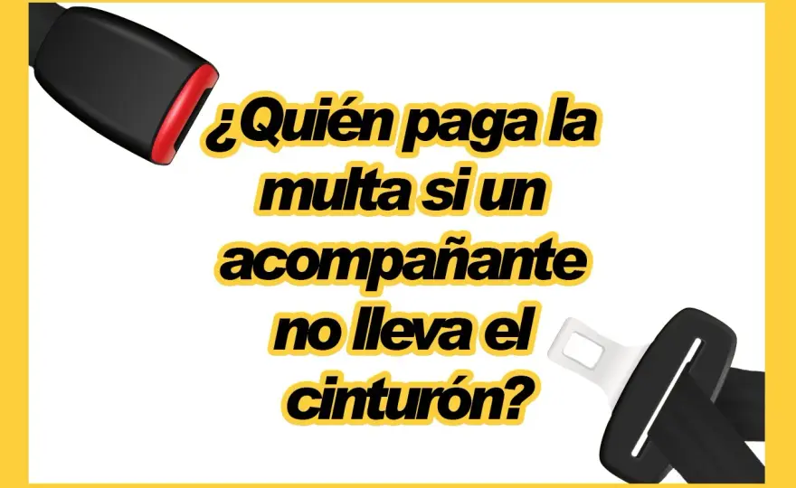 ¿Quién paga la multa por no llevar cinturón?