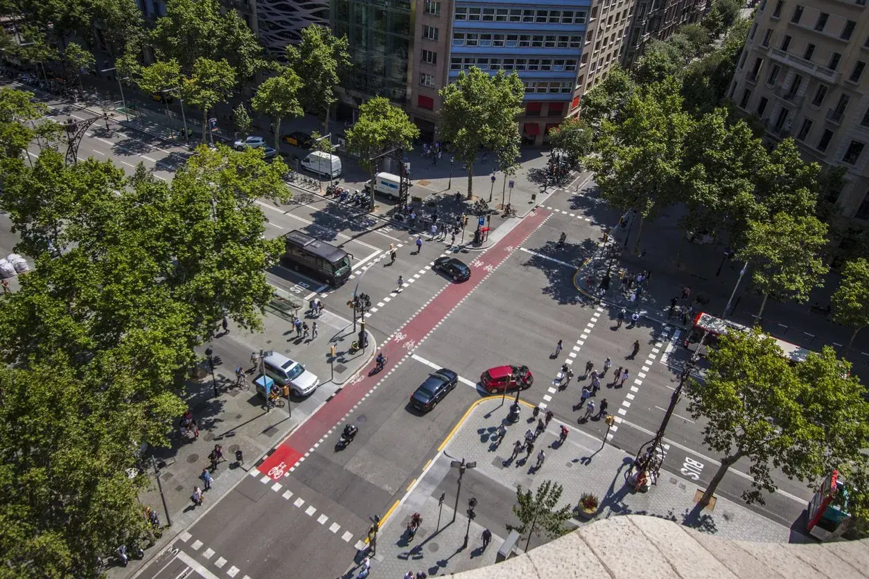 Vista aérea de una intersección urbana concurrida. Coches, autobuses y peatones cruzan el **paso de peatones** bajo árboles frondosos.