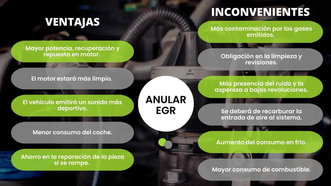 Ventajas y desventajas de anular la EGR: mayor potencia, sonido deportivo, pero más contaminación y consumo.