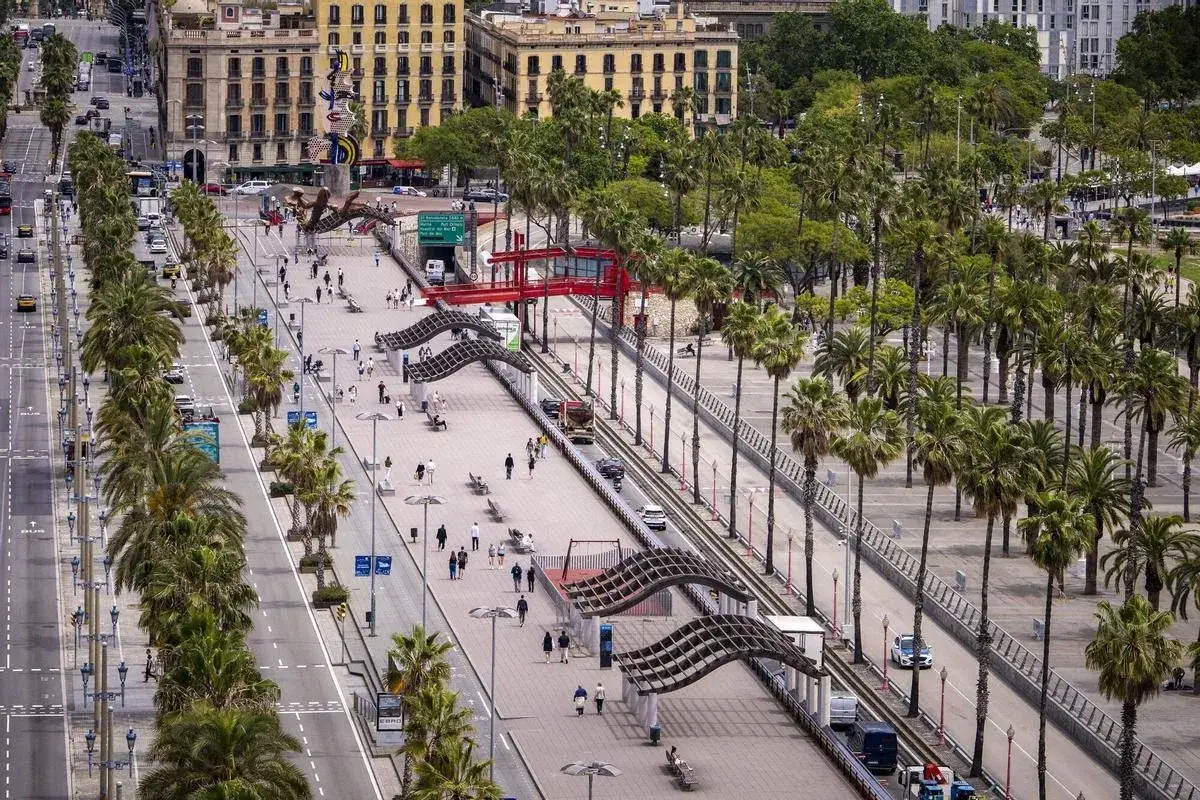 Paseo marítimo con palmeras y gente disfrutando del día en el bsm moll de la fusta, Barcelona.