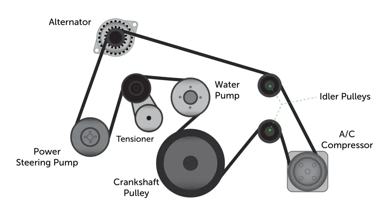 Diagrama de correa de accesorios: alternador, bomba de dirección asistida dura de repente, tensor, bomba de agua, poleas tensoras y compresor de A/C.